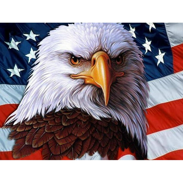Eagle Riding Motorcycle Diamond Painting Cool Flag Design Wall Embroidery Decors